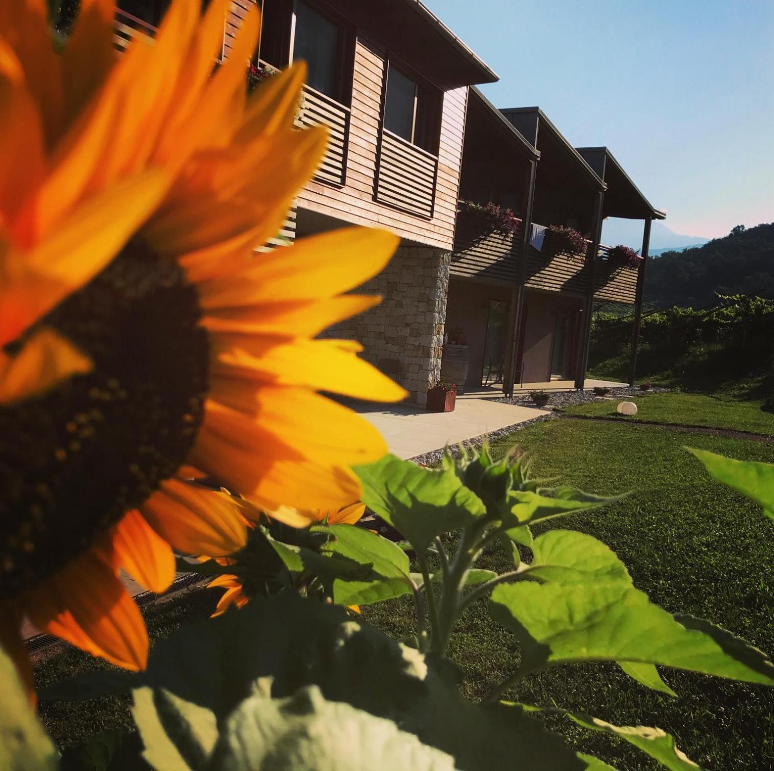 Agritur Verderame Trient Exterior foto
